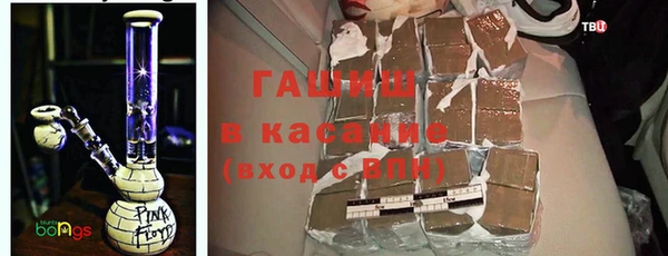 индика Верхний Тагил