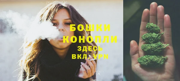 мдпв Верея