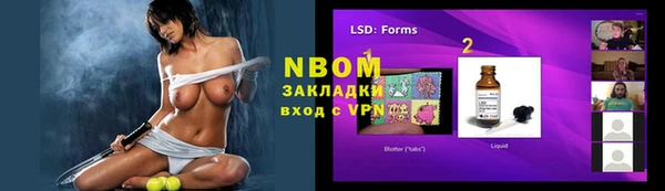 индика Верхний Тагил
