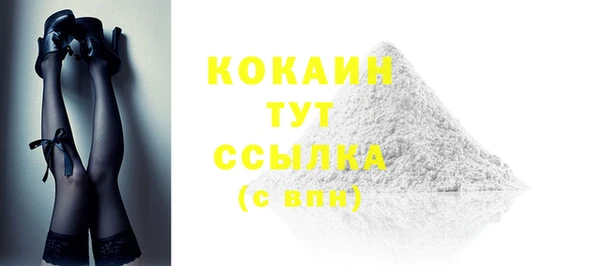 индика Верхний Тагил