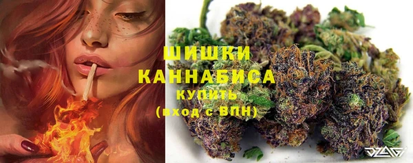 индика Володарск