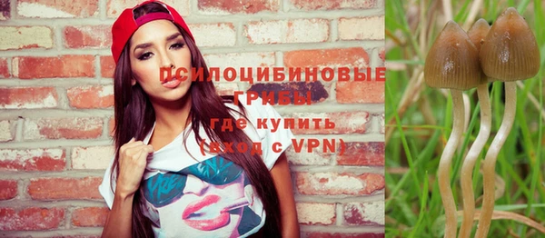 индика Володарск