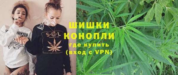 мдпв Верея