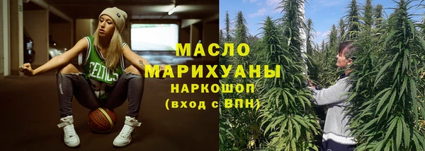 индика Верхний Тагил