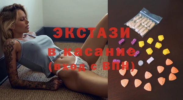 индика Верхний Тагил