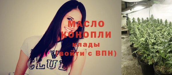 индика Верхний Тагил